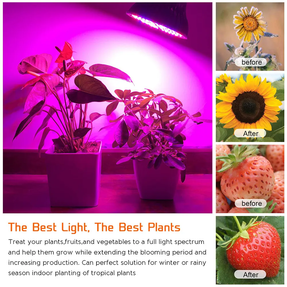 E26/E27 Full Spectrum LED Grow Light Bulb 8W 10W 30W 50W 80W Aluminum ...