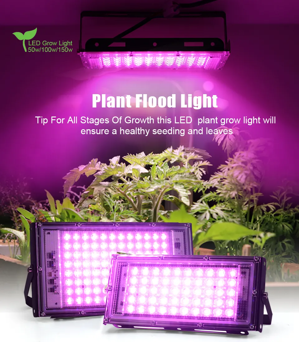 LED Grow Lights Full Spectrum Phyto Lamp For Indoor Plants 50W 100W ...