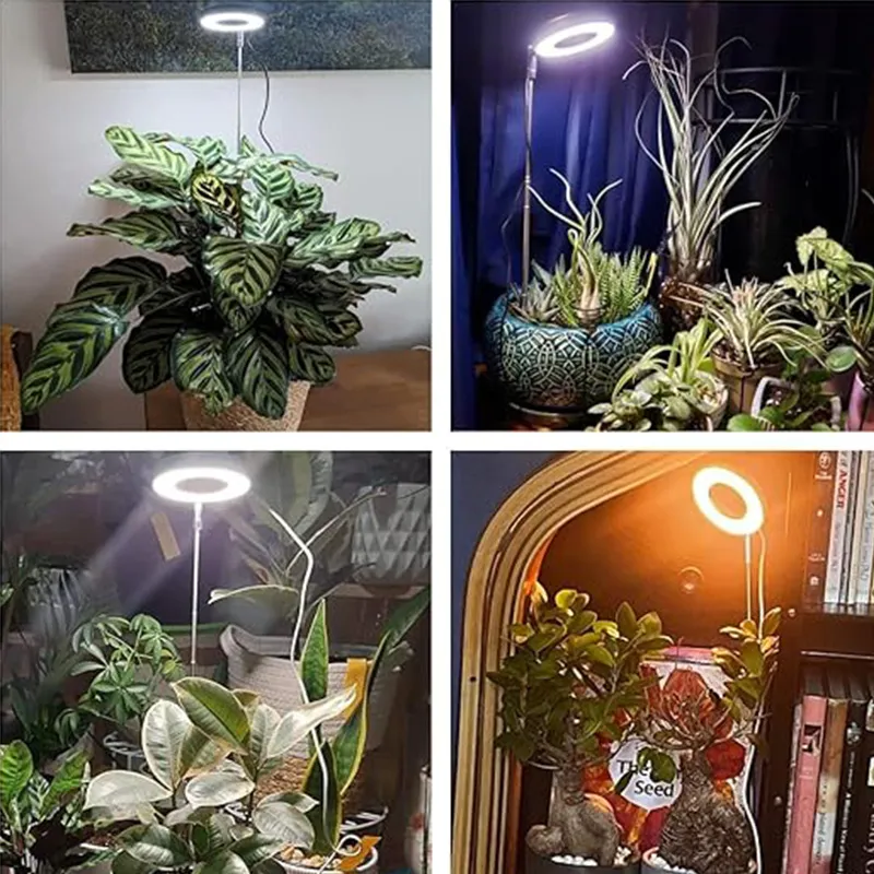 DHgate.com:12W USB LED Grow Light - Dimmable Full Spectrum Plant Lamp ...