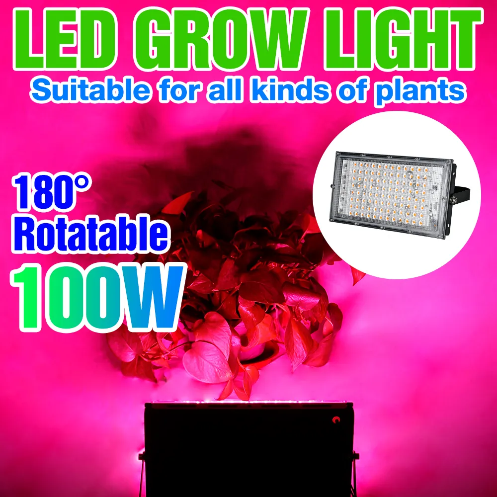 50W/100W Waterproof Full Spectrum LED Grow Light for Greenhouse ...