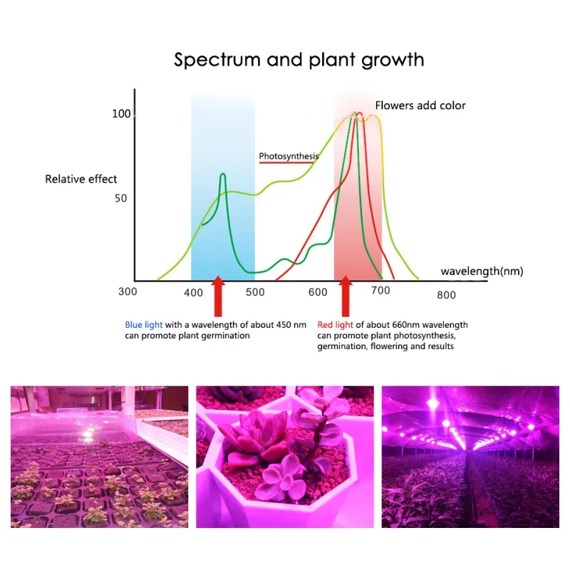Full Spectrum Grow Light Bulbs E27 LED Growing Bulb,... From Ddmyaug,  $19.37 | DHgate.Com