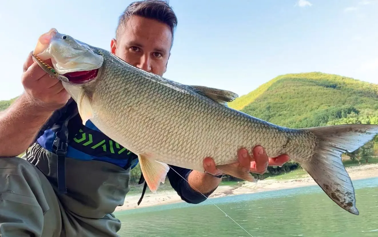 Jerry Trout Fishing Lures Minnow Hard Bait Rock Spinning Jerkbait