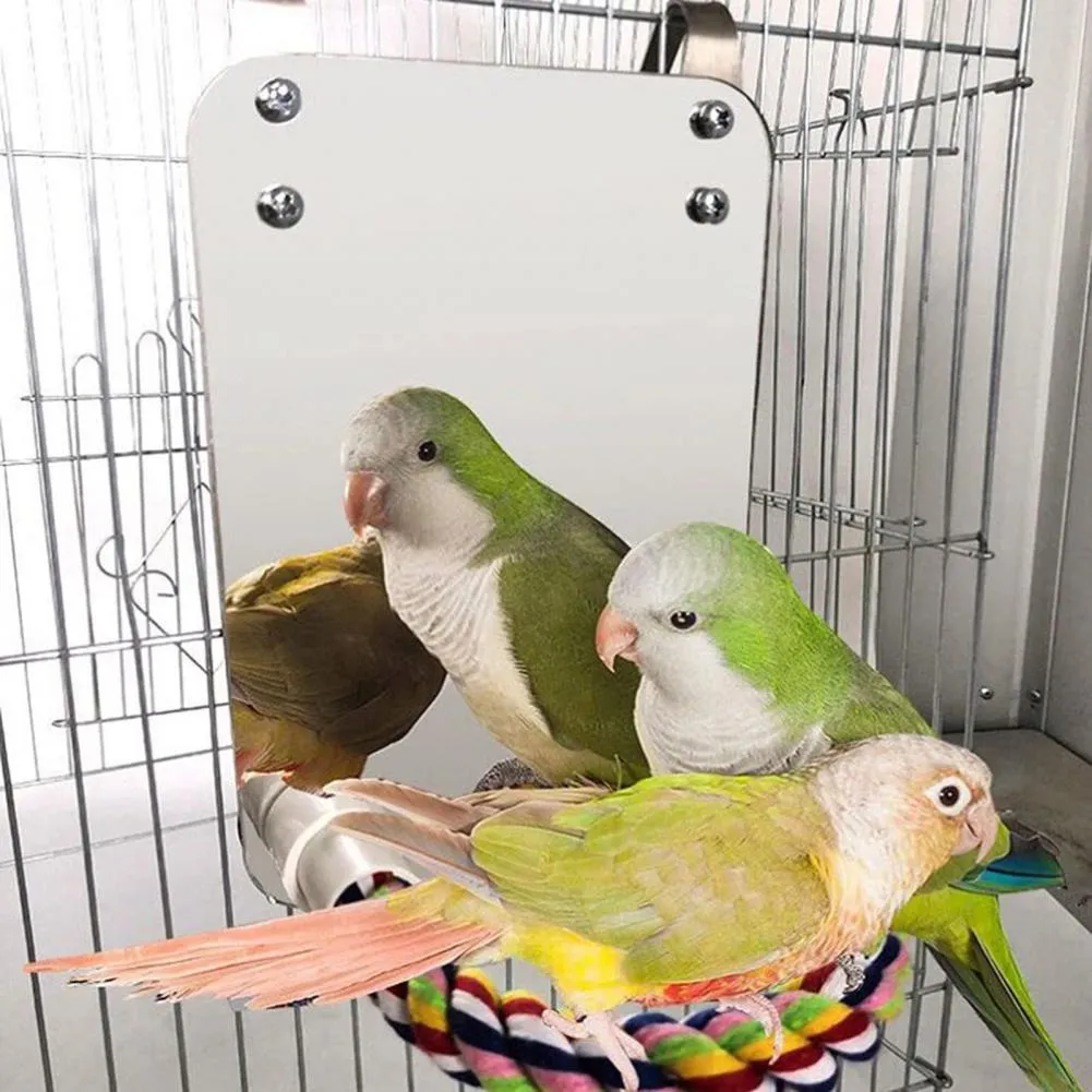 thumbnail image 2 of Bird Mirror Birdcage Perches Mirror Cotton Rope Standing 2 of 11
