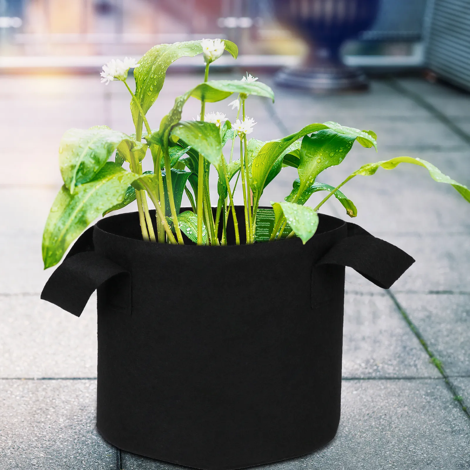 thumbnail image 2 of 1 Gallon Fabric Pots Boovnll 2 Gallon Grow Bags, Thickened Heavy Duty Non-Woven Potato Grow Bags With Handles, Reusable Garden Plant Bags For Garden, Terrace, Farm, Vegetables, Grains, Fruit, Grow Bag 2 2 of 14