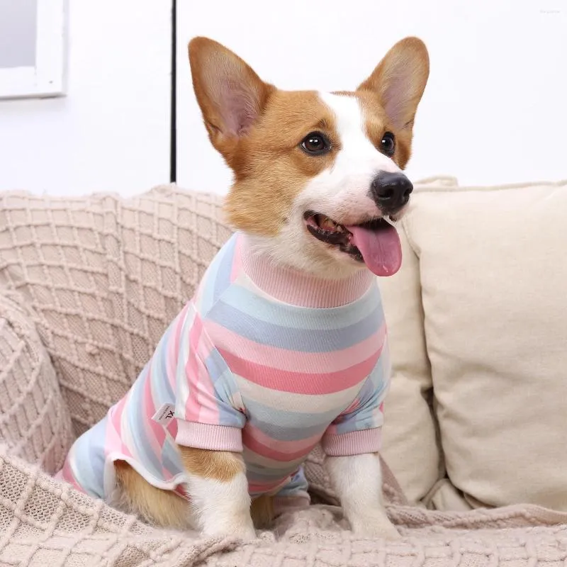 Winter Wedding Dress Code for Dogs: What You Need to Know