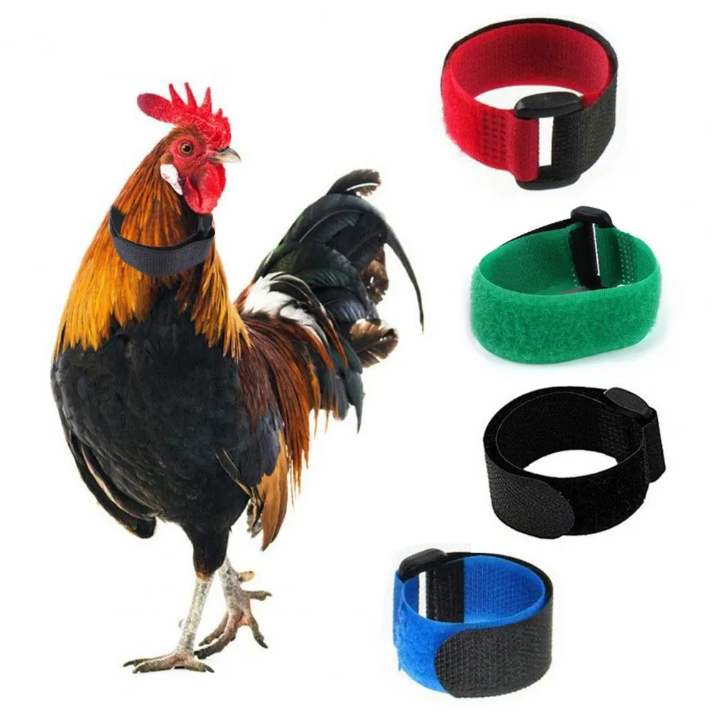 2 Pack Reusable Anti-Crow Chicken Collars: Noise Reduction for Roosters ...