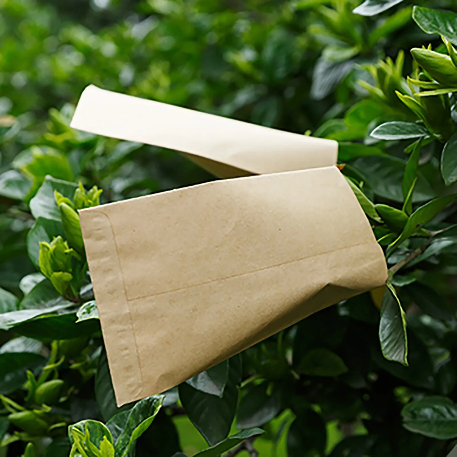Kraft Paper Coin Envelopes Small Seed Storage... From Ddmyjun, $57.96 ...