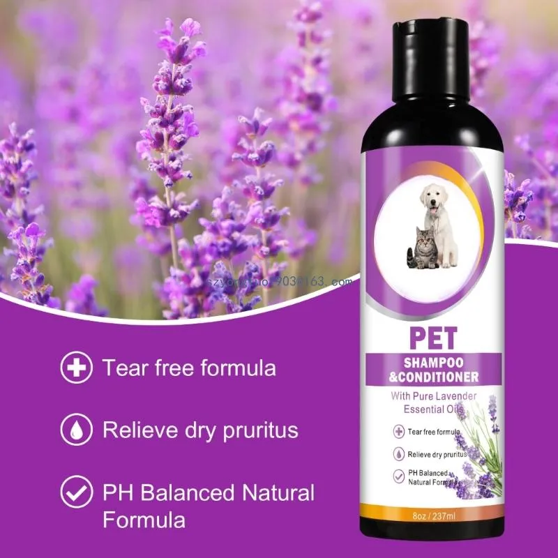 A Guide to Grooming Cats Tools and Techniques