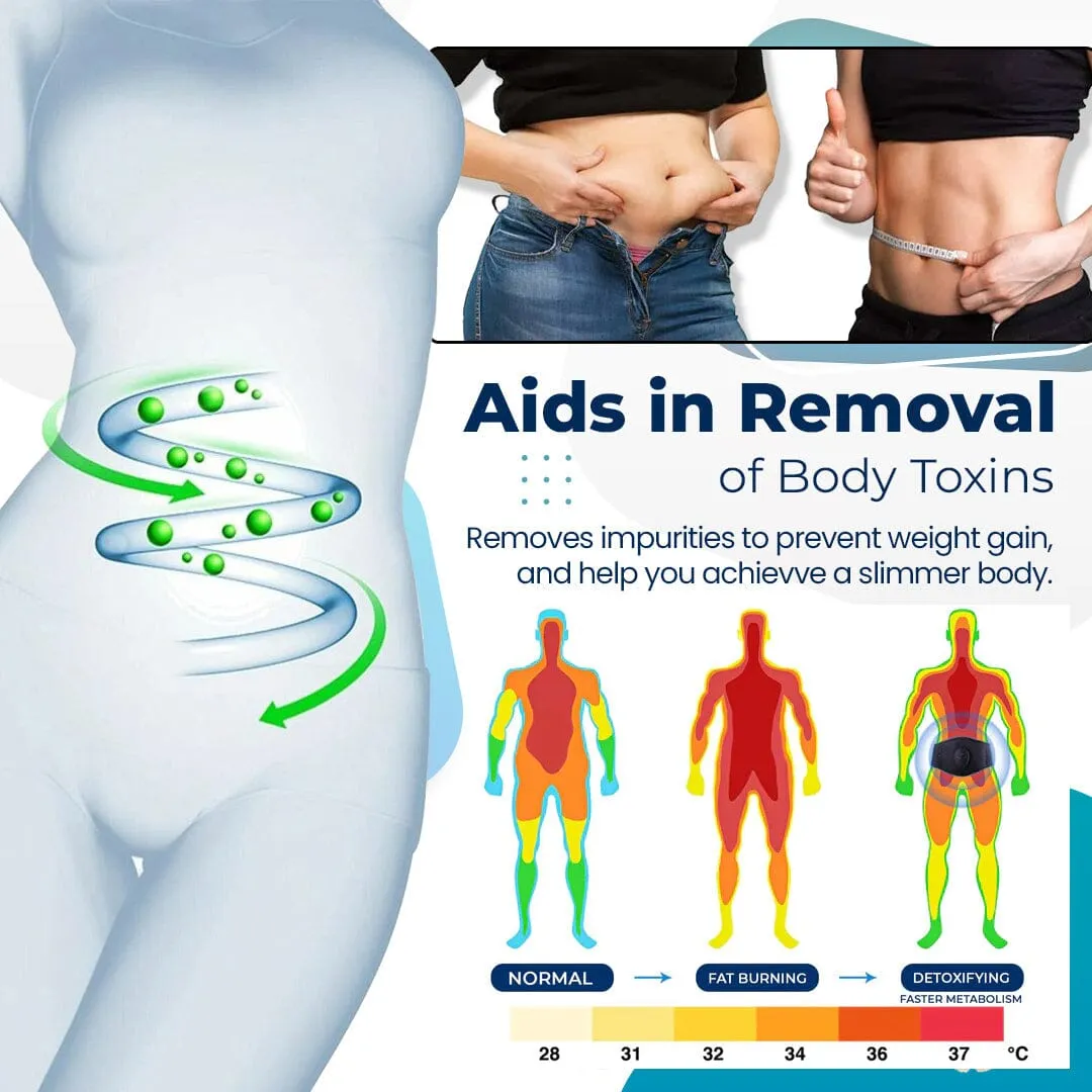 Body Sculpture Tummy Trainer – Appareil De Musculation Abdominale Et Gaine Taille, Pratique Pour Renforcer Les Abdos à La Maison