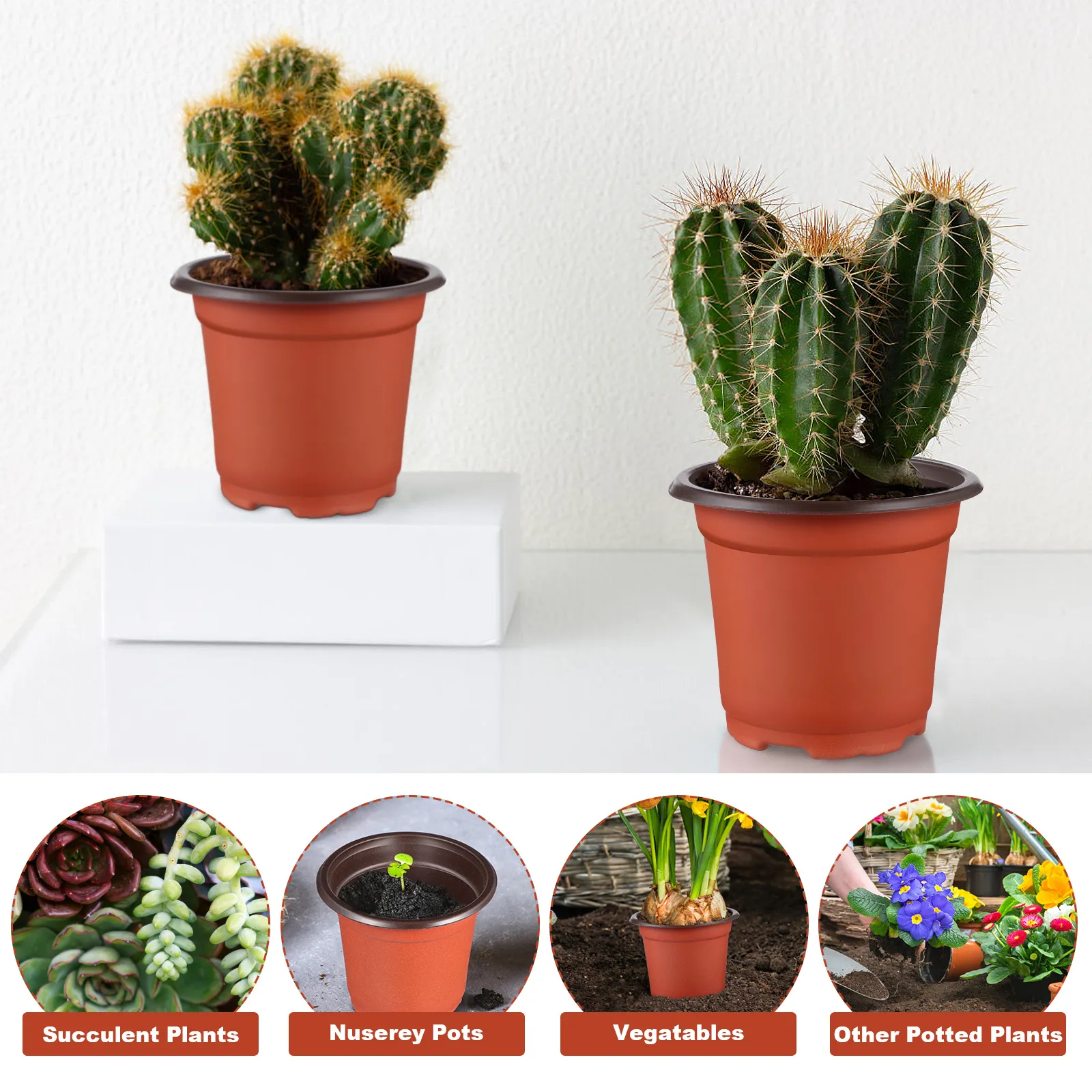 Plastic Flower Pots for Seedlings Two-Color Plastic Plant Starter Pots for  House Nursery Gardening from Dhgate Other Garden Supplies - price 20.91