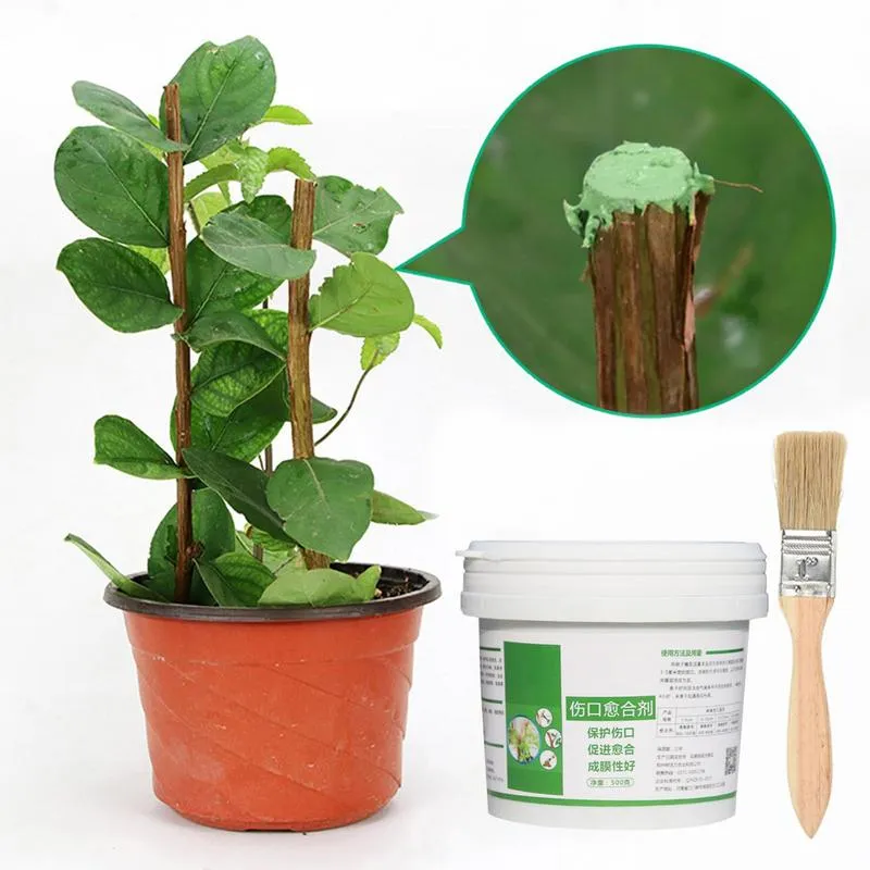 Tree Wound Sealer 500g Tree Wound Healing Sealant Wound Paste And Tree ...