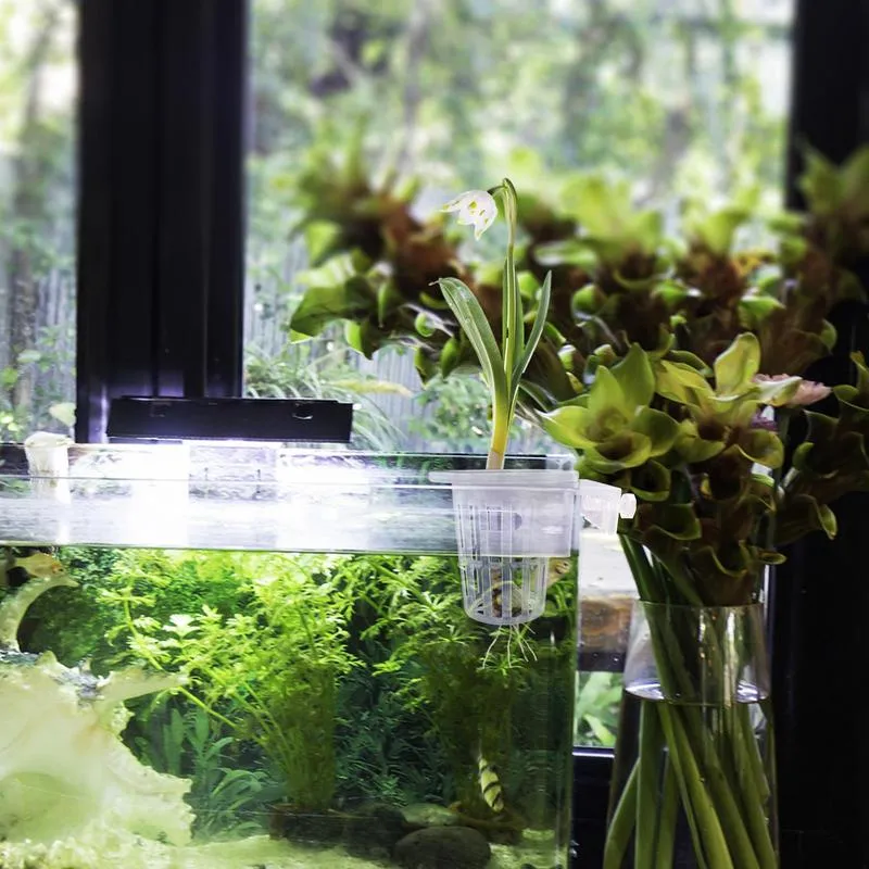 Aquarium Plant Pots 2 Pack Transparent Fish Tank... From Ddmyjan, $5.9 |  DHgate.Com