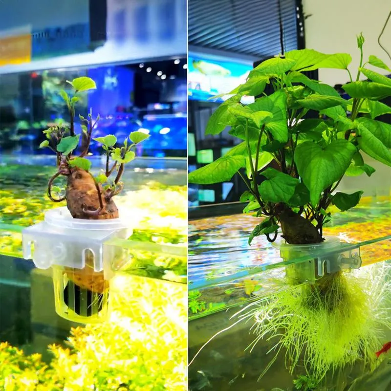 Aquarium Plant Pots 2 Pack Transparent Fish Tank... From Ddmyjan, $5.9 |  DHgate.Com