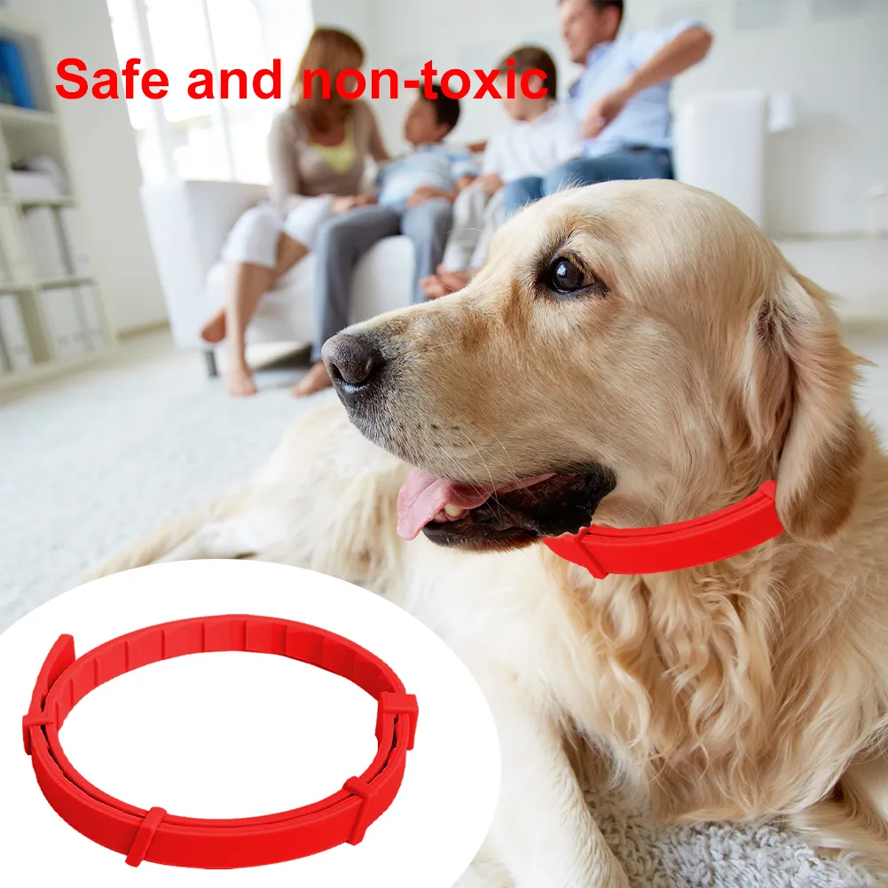 Non toxic flea collar sales