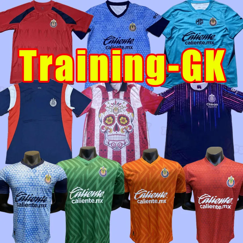 Training 2023 2024 Guadalajara Soccer Jerseys Chivas Regal ALVARADO I