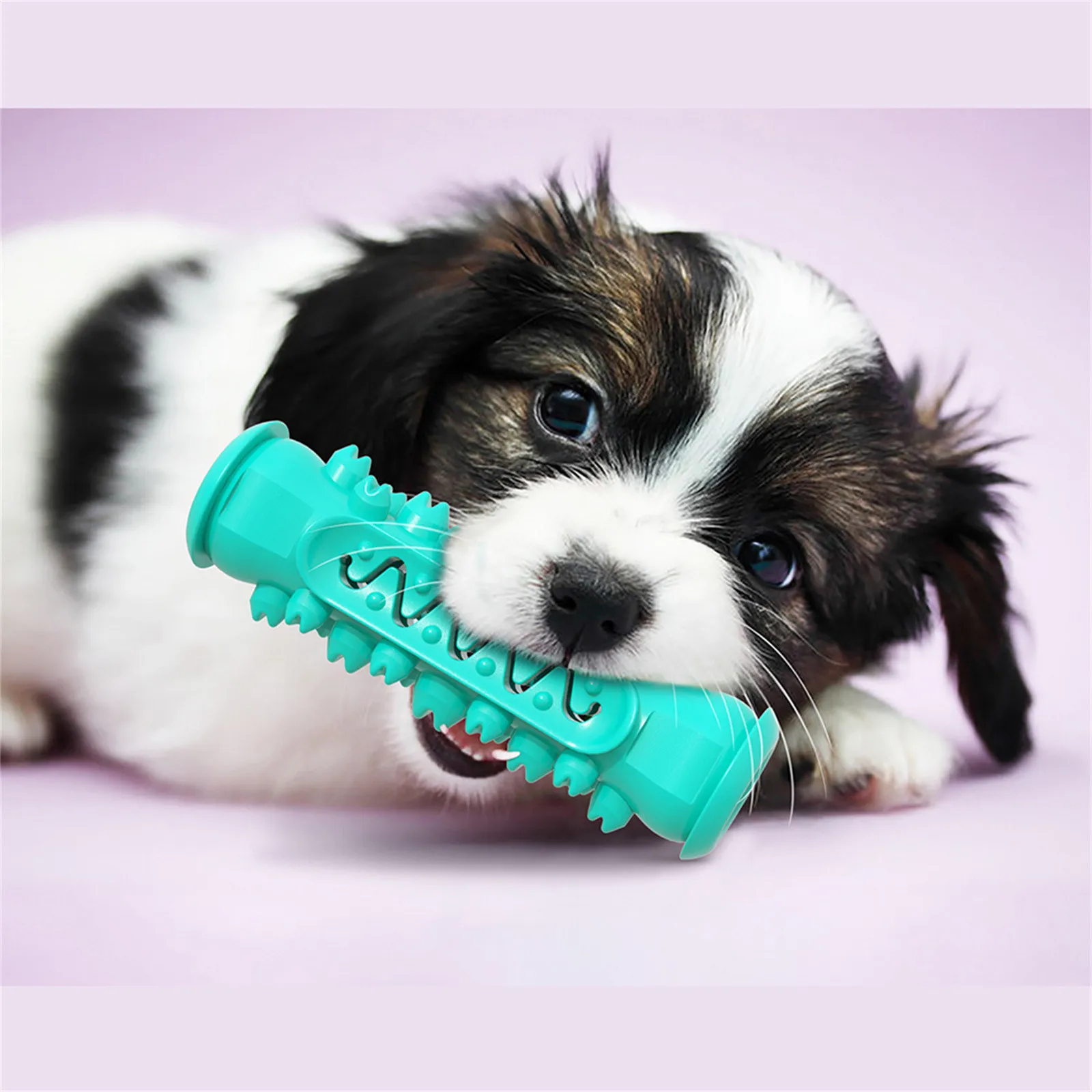 Dog Chew Toy Toothbrush Plastic Brushing Stick for Large Breed ...