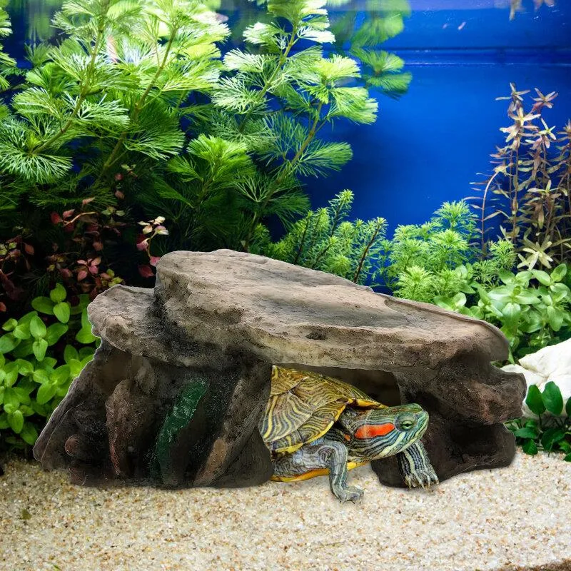 DHgate.com:New 3-in-1 Turtle House, Gecko Platform & Crab Shelter ...