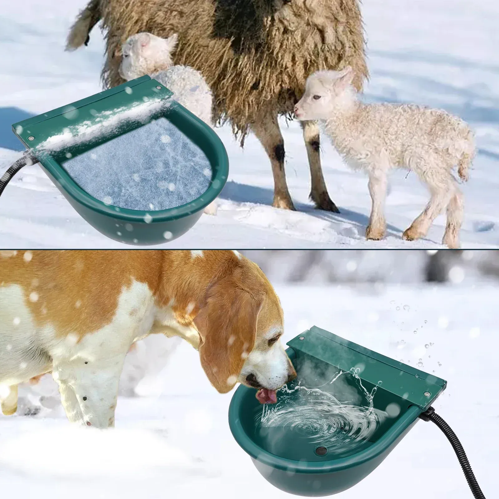 Goat Electric Heated Water Bucket Plastic Battery Operated Heated Dog Water  Bowl for Horse Farm Animals from Dhgate Coral - price 82.92