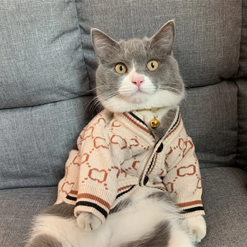 Cat spay sweater hotsell
