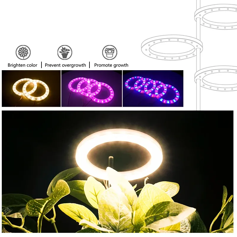 LED Angel Ring Grow Light Full Spectrum 5V USB Phyto Grow Lamp for ...
