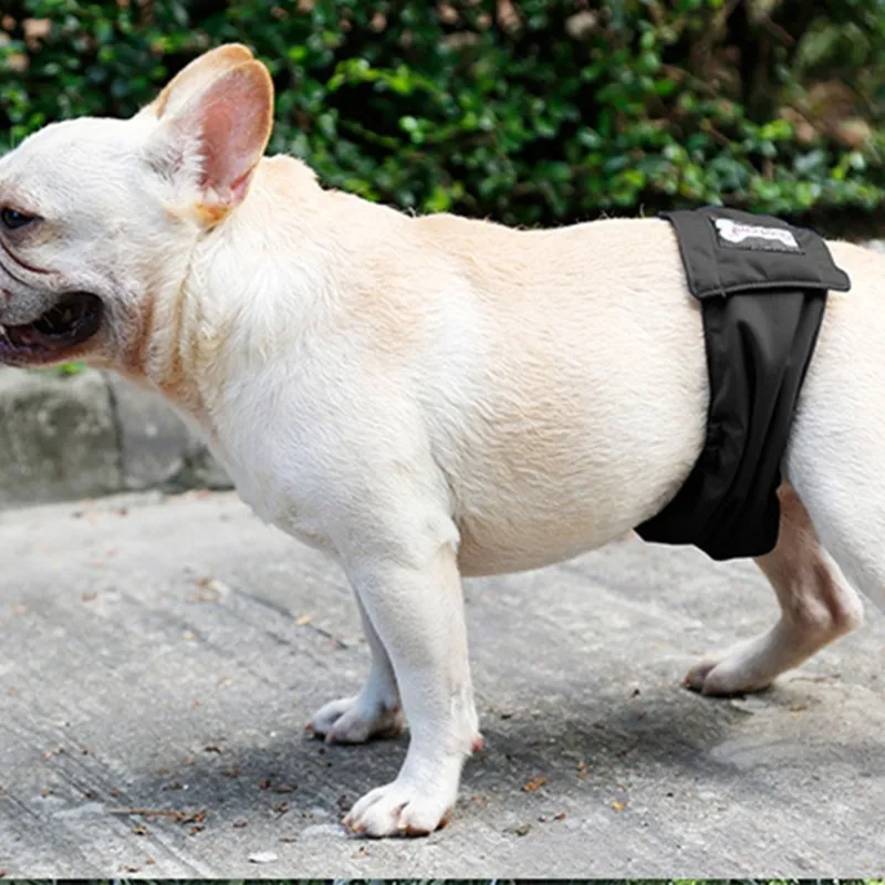 3 Mutandine Ciclo Per Cane Femmina - Lavabili, Morbide, Regolabili, Per Taglia Piccola/Media, Design Floreale