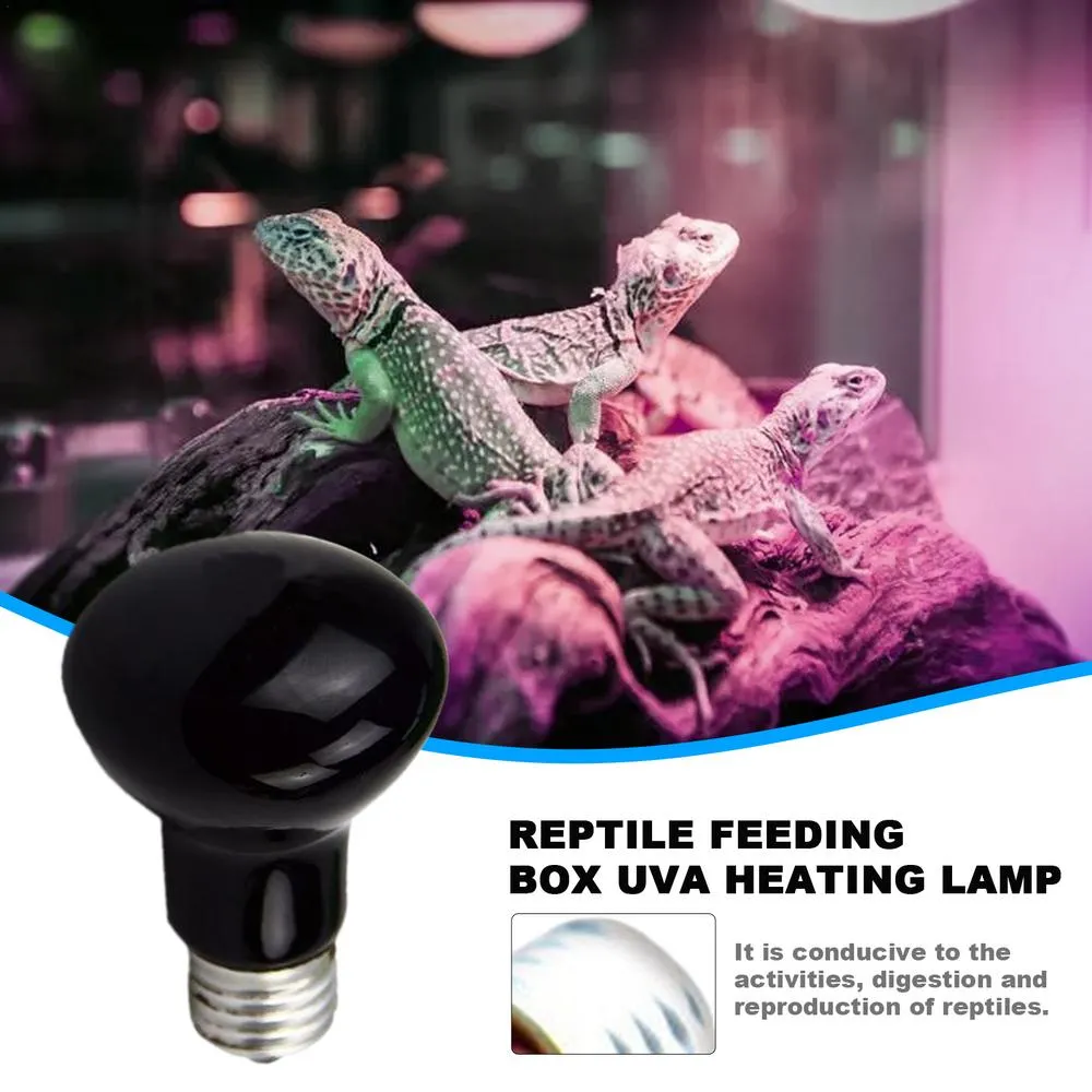 Heat Light For Reptiles FIVEAGE 75W Reptile Heat Lamp Bulb/Light