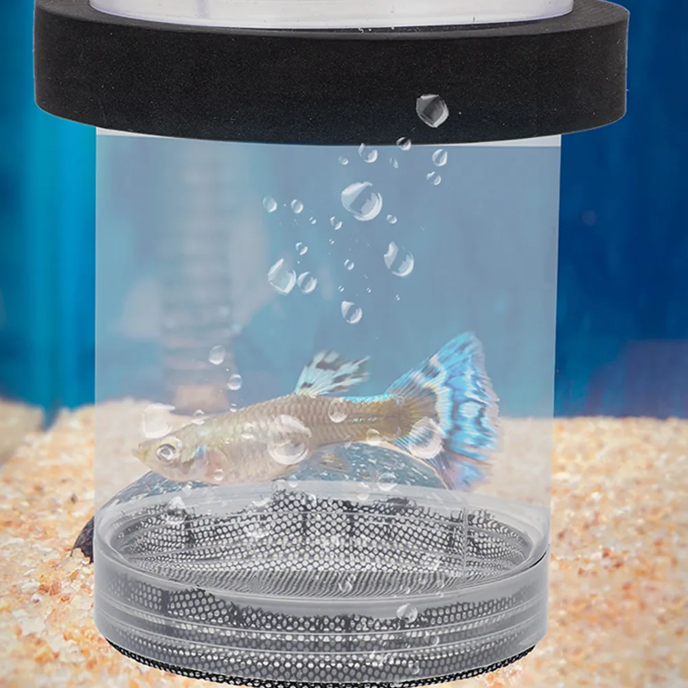 Plastic Guppies fish breeding box with Betta Divider