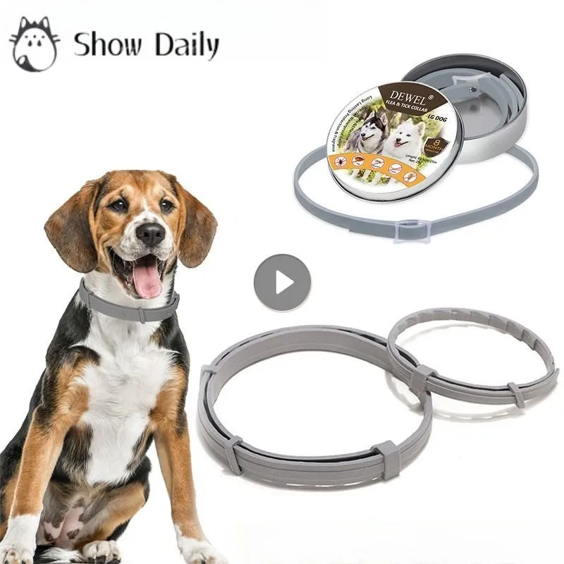 Grey flea collar 2025
