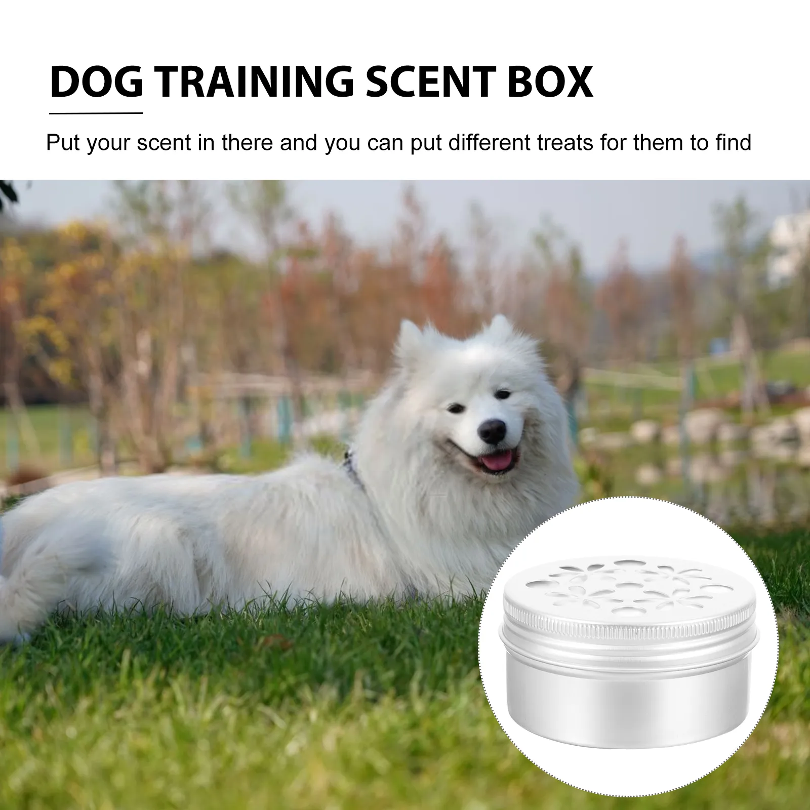 10-Piece Dog Scent nffc training kit with Aluminum Boxes, Hollow