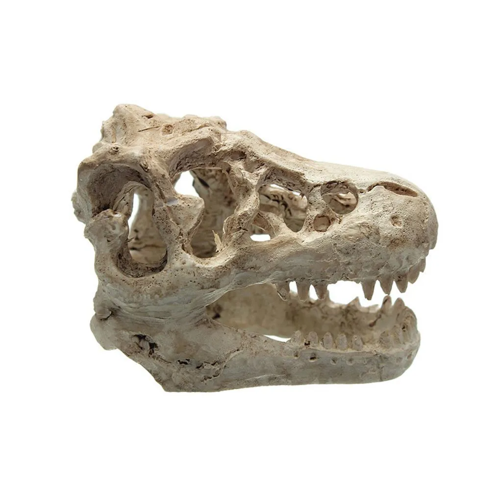 Adorno De Cráneo Para Acuario - De Resina Realista, Cueva Escondite Para Peces Y Reptiles, Tamaño 14x11x10cm