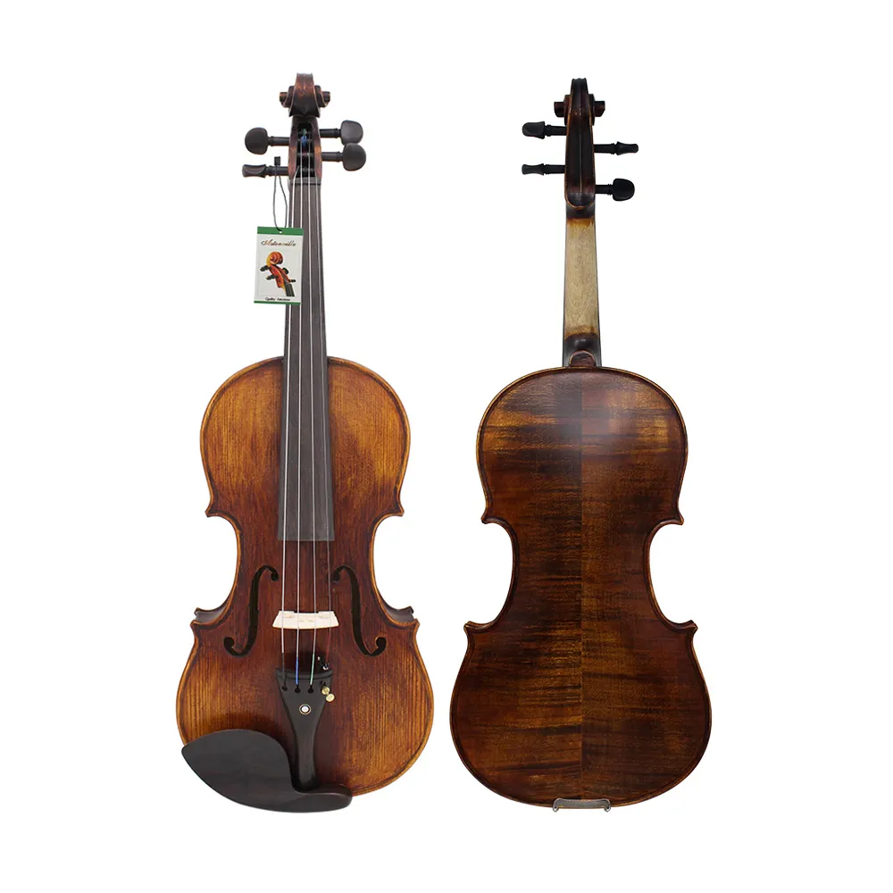 Astonvilla AV-10 4/4 Acoustic Violin with Spruce Panel, Case, Bow