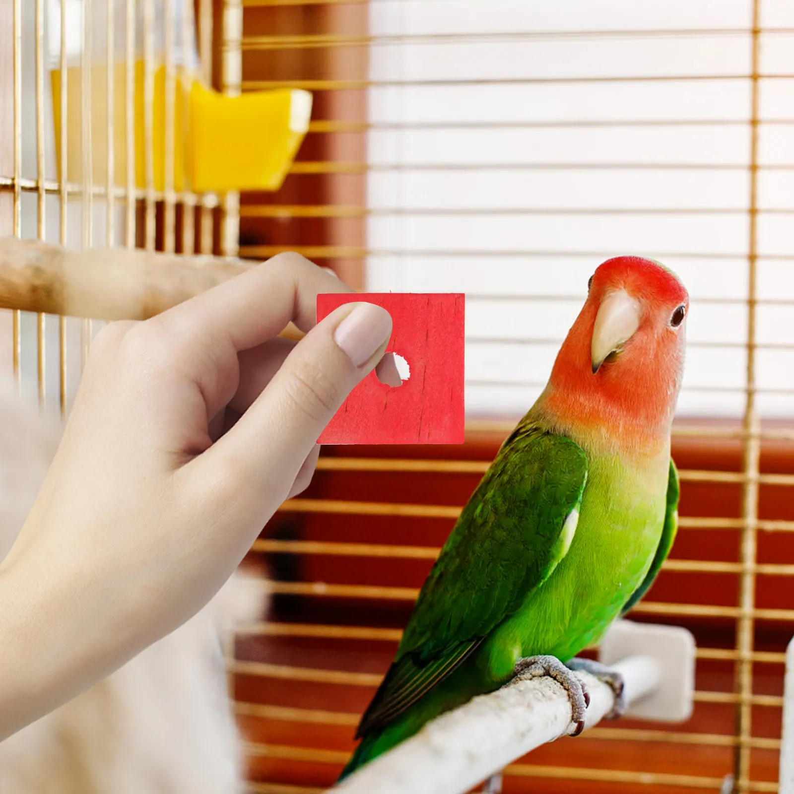 Bulk parrot toys online
