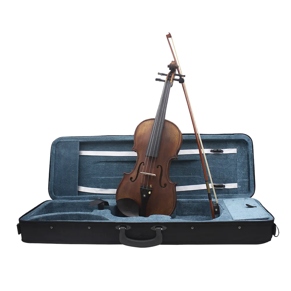 Astonvilla AV-10 4/4 Acoustic Violin with Spruce Panel, Brazil