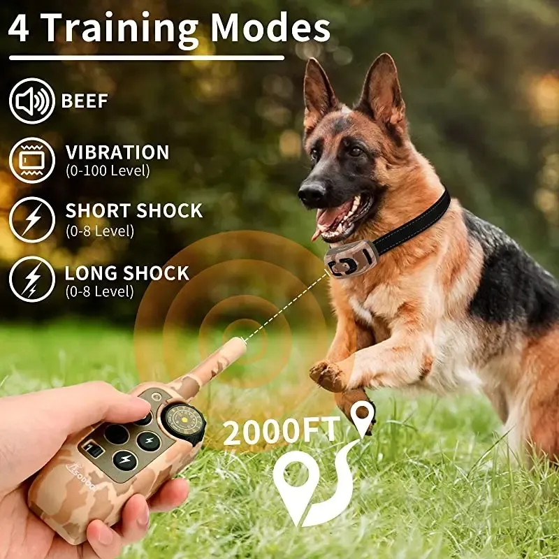 Electric Dog Collar Training A German Shepherd Using A Shock