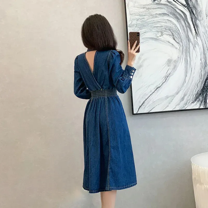 chinese dress ladies A Line Denim Maxi Dress