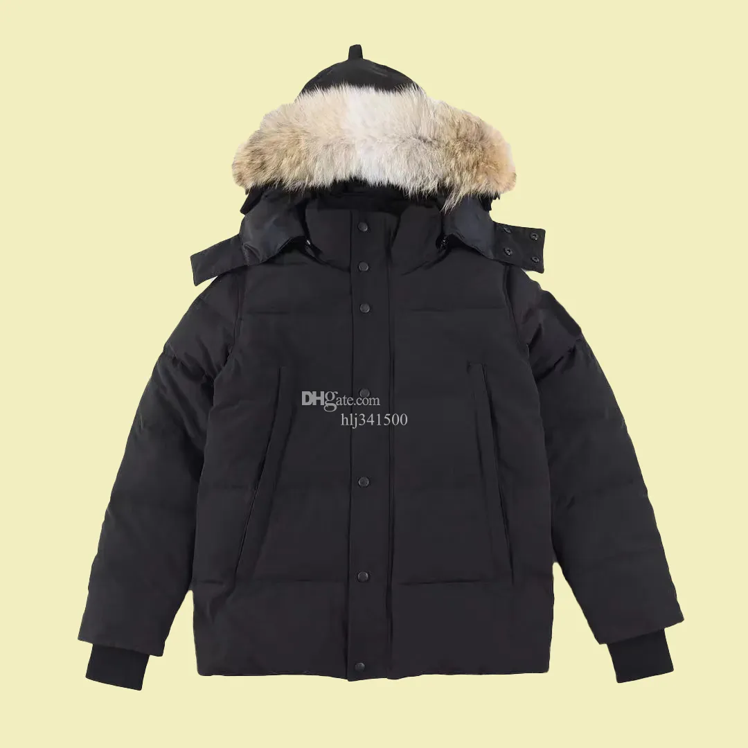 Premium Quality Mens Parka: Goose Down Winter Jacket, Canada Style