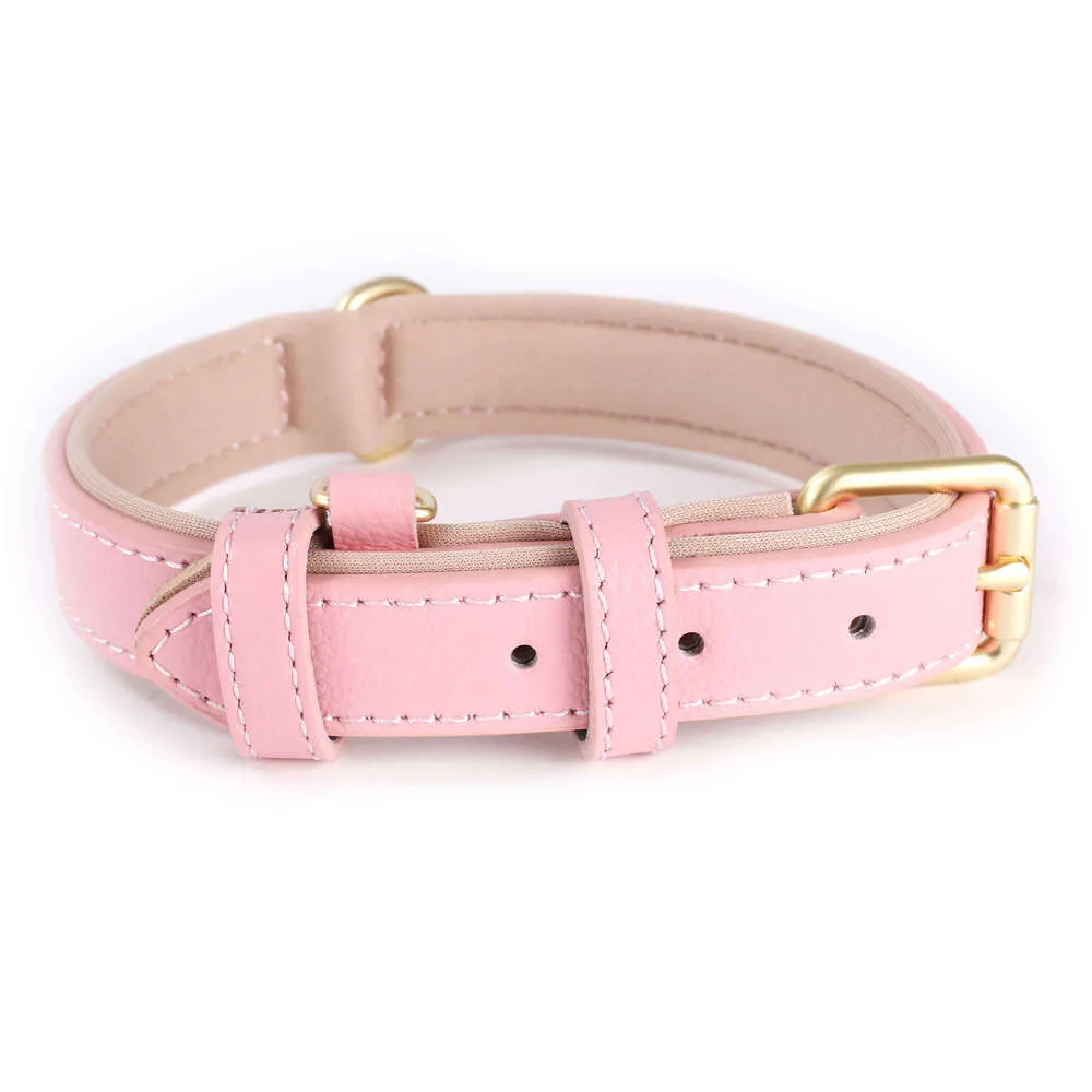 Adjustable Leather Collar For Outdoor Walking Genuine Waterproof