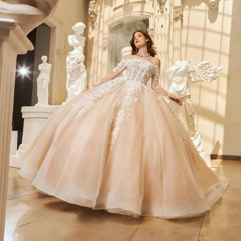 Champagne Sweet 16 Birthday Party Ball Gown Dress with Lace-up Back and Beads Lace Appliqu from Dhgate Quinceanera Dresses - price 290.34 Champagne Sweet 16 Birthday Party Ball Gown Dress with Lace-up Back and Beads Lace Appliqu from Dhgate Quinceanera Dresses - price 290.34