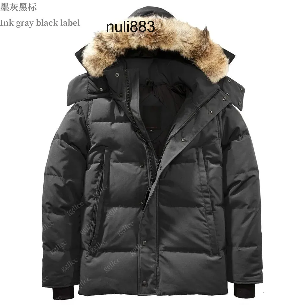 Barbour dhgate online