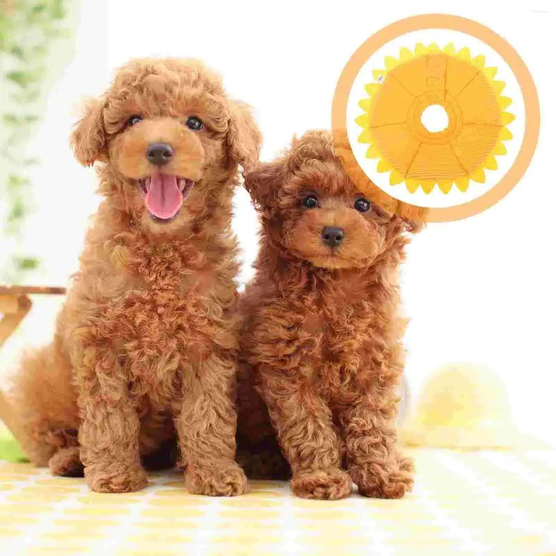 Soft Recovery Collar: Comfortable Alternative to Pet Cones for Dogs Cats  Shop Now!