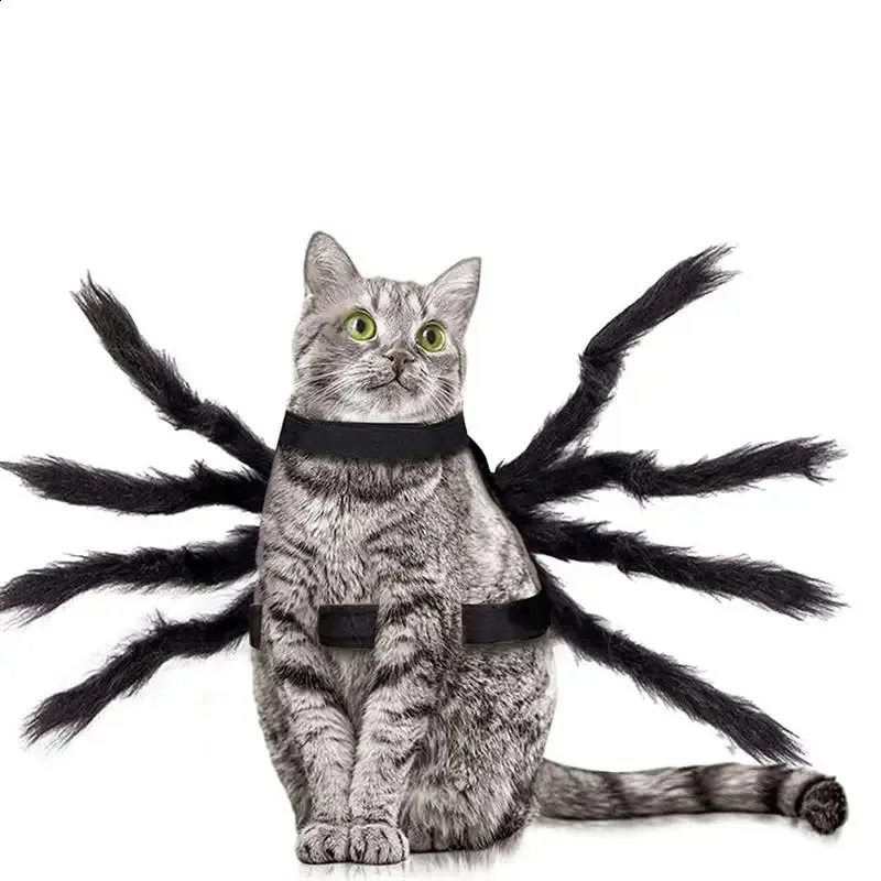 Costume Da Cane Black Spider Costume Da Ruolo Da Parte Del