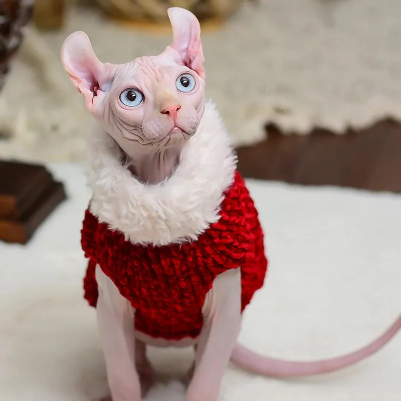 Sphynx Cat Bee Costume Sweater - Warm Winter Clothes For Hairless Cats