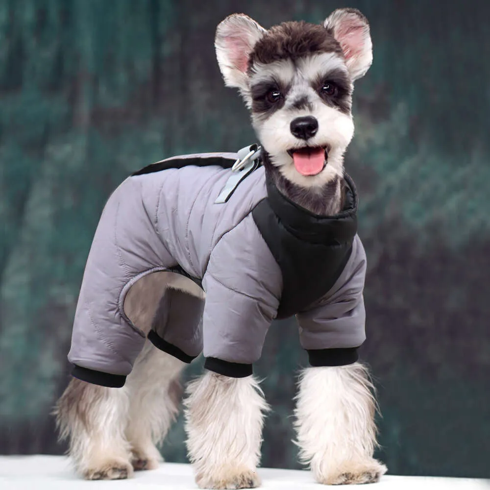 Dog Clothes Unisex Cotton Dresses Six-piece Set for Fall and Winter Warmth  with Floral Pattern from Dhgate Dog Dresses - price 18.96