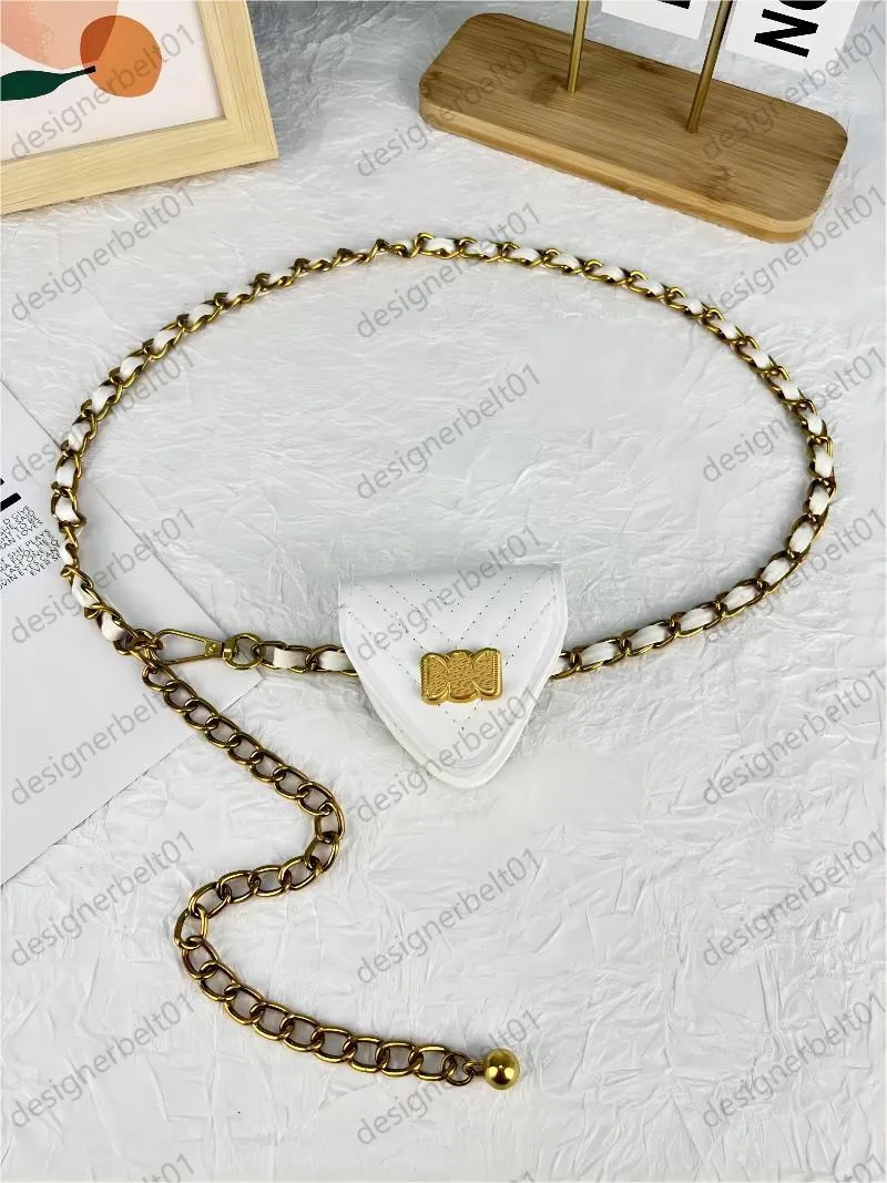 Luxury Mini Chain Waist Bag - Fashionable Belt Bag & Coin  display picture 1