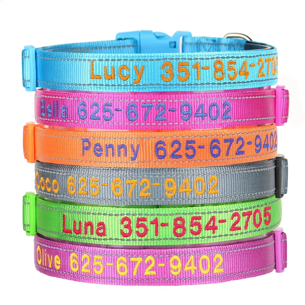 Embroidered Nylon Dog Collar – Personalized With Pet Name & Phone – Adjustable S M L