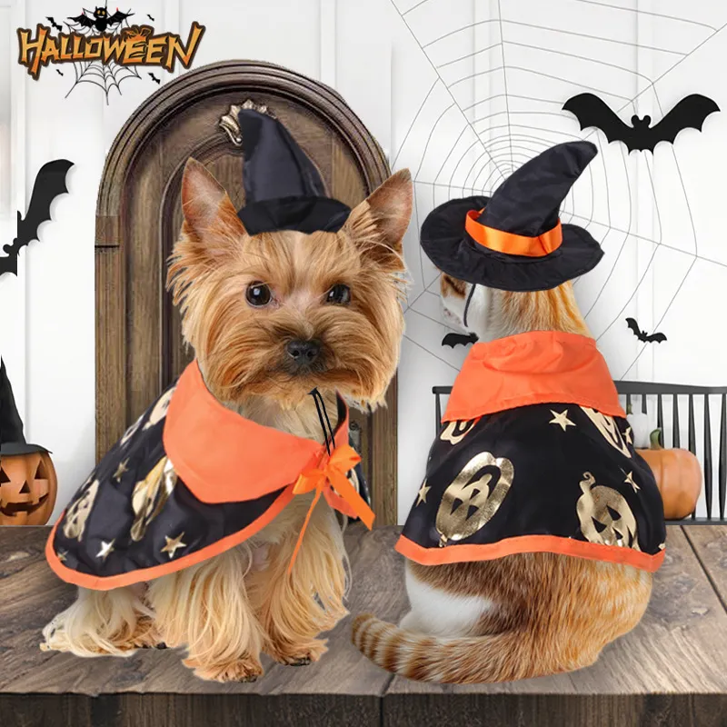 Halloween Pet Pumpkin Cape & Witch Hat Costume Set - Soft Fleece ...