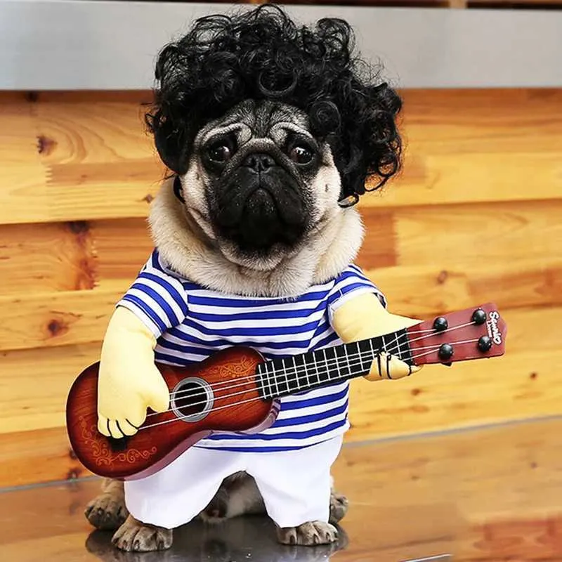 Cat playing guitar costume sale