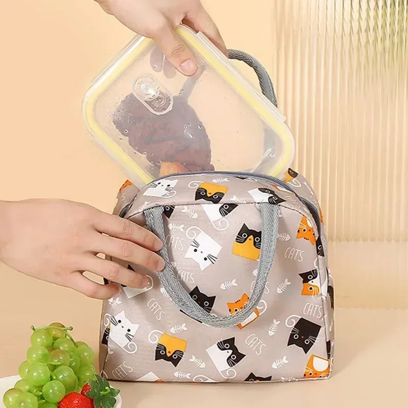 Bolsa De Picnic AOSBOS 10L Isotérmica - Mantiene Frío/Calor 5-6h | Impermeable, Con Asa Acolchada | Para Oficina, Excursiones