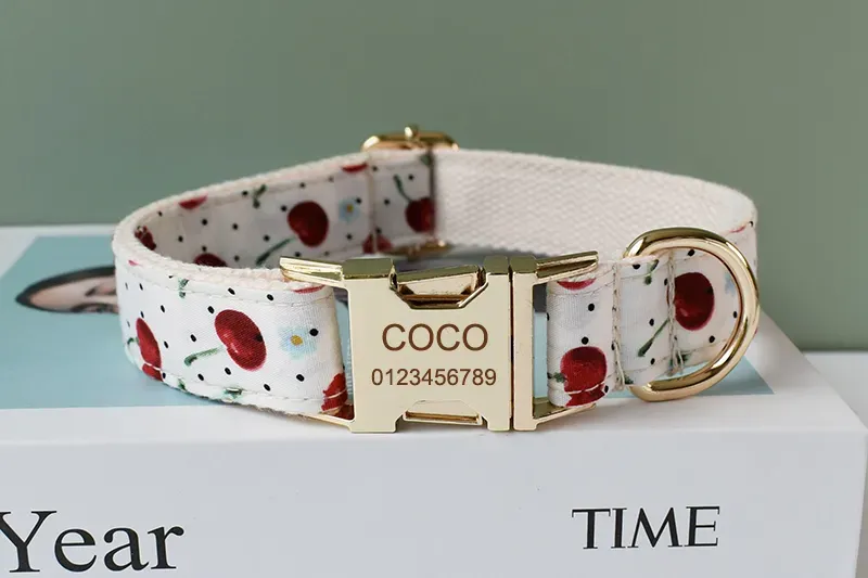 Personalized Dog Collar Leash Set: Free Engraving, Stylish Bow Tie ...