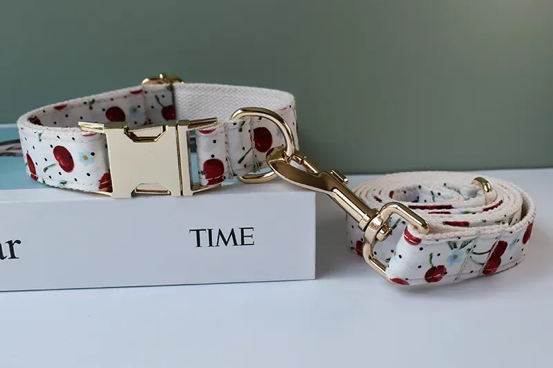Personalized Dog Collar Leash Set: Free Engraving, Stylish Bow Tie ...
